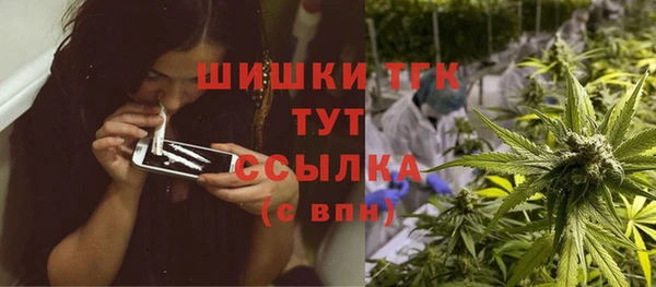 гидра Белоозёрский